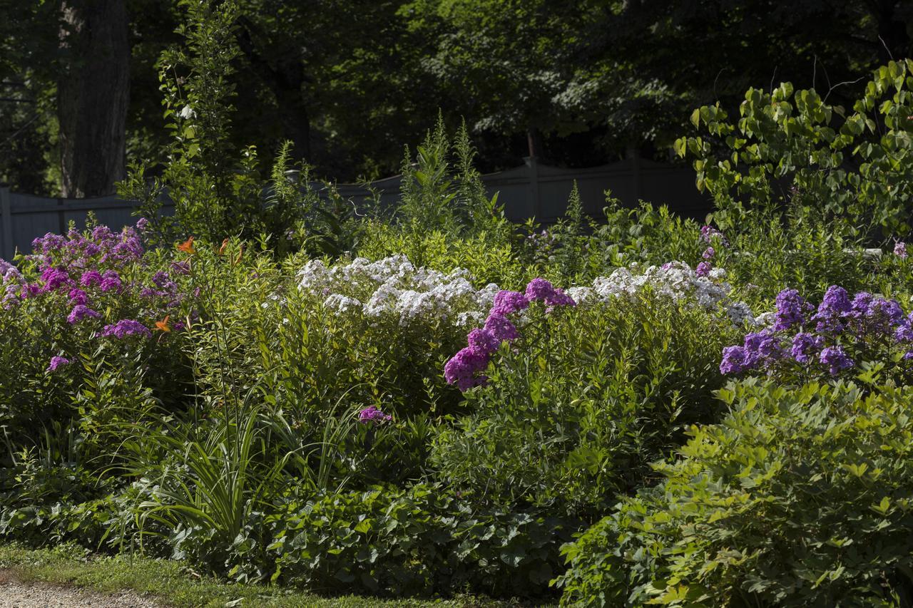 Sheffield Staveleigh House Bed And Breakfast المظهر الخارجي الصورة